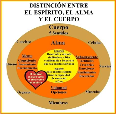 Cuerpo, Alma Y Corazón .